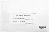 Image Associated With the Occurence